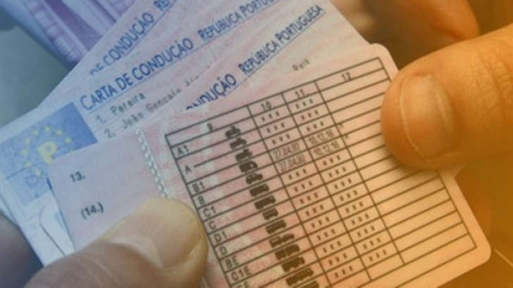 Comprar Carta de Condução D1 oficial